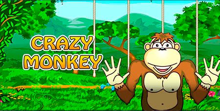 Игра Crazy Monkey